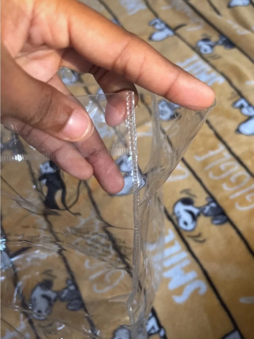 ACE Clear PVC Tote Bag